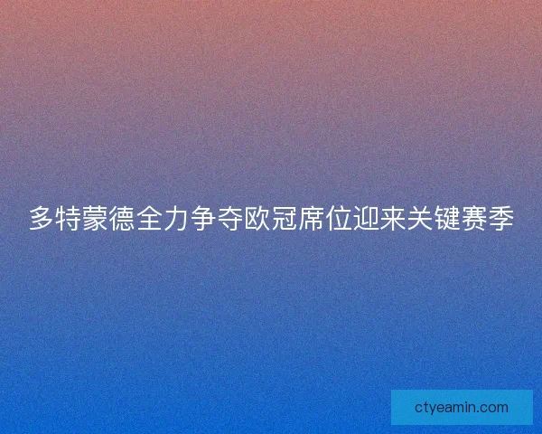 多特蒙德全力争夺欧冠席位迎来关键赛季